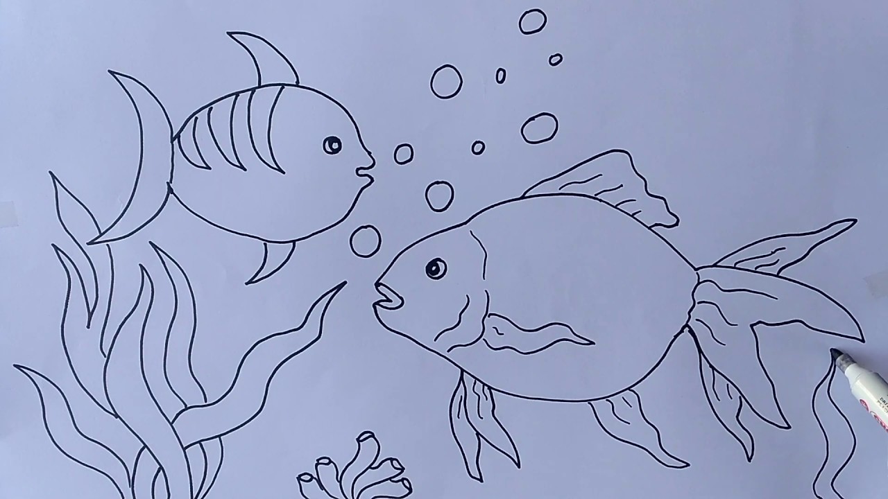 Detail Gambar Ikan Termudah Nomer 3