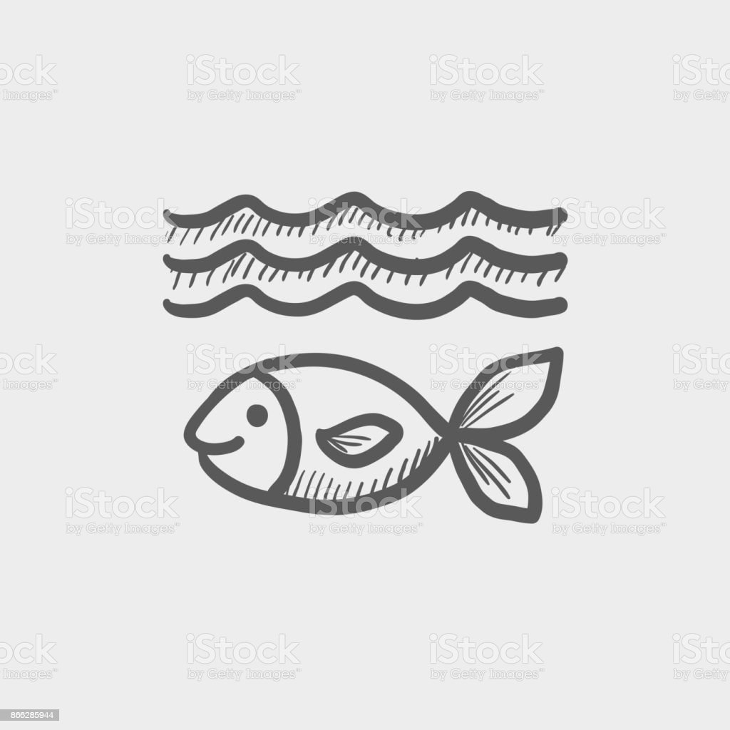 Detail Gambar Ikan Termudah Nomer 37