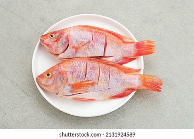 Detail Gambar Ikan Tilapia Merah Nomer 38