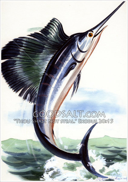 Detail Gambar Ikan Todak Nomer 18