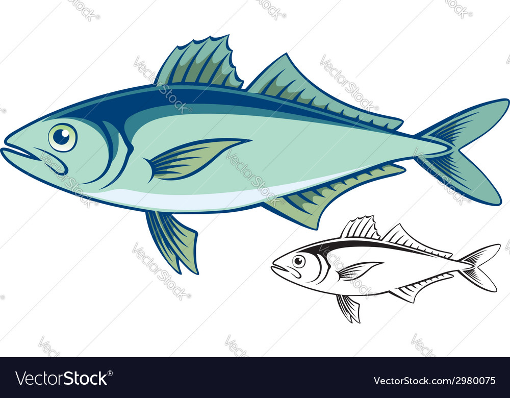 Detail Gambar Ikan Tongkol Karikatur Nomer 17