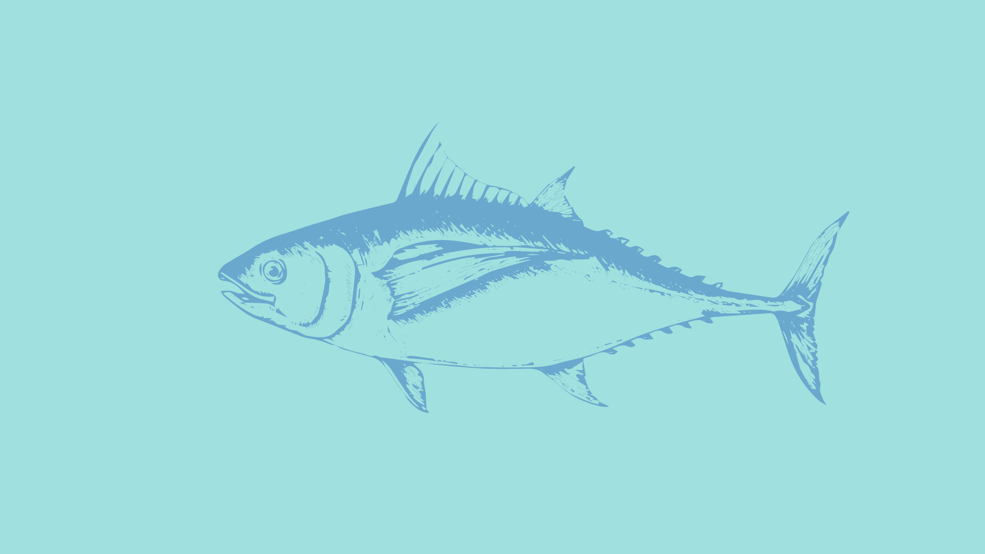 Detail Gambar Ikan Tongkol Karikatur Nomer 48