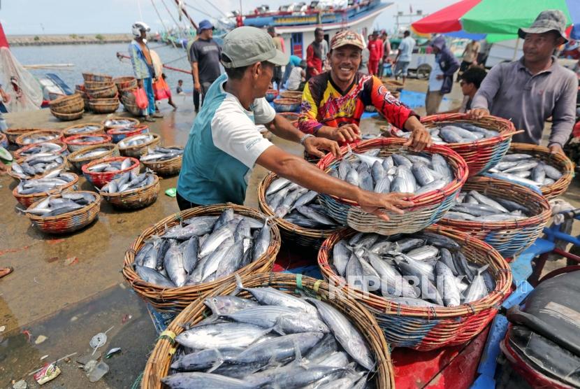 Detail Gambar Ikan Tongkol Segar Nomer 23