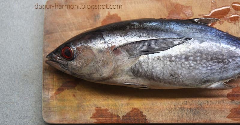 Detail Gambar Ikan Tongkol Segar Nomer 24