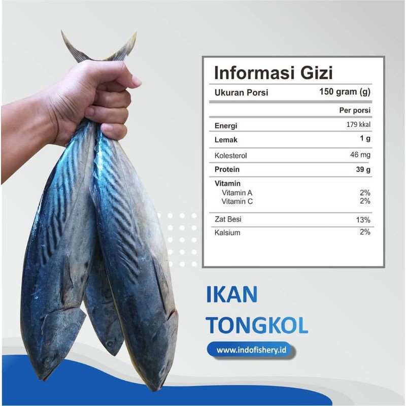 Detail Gambar Ikan Tongkol Segar Nomer 37