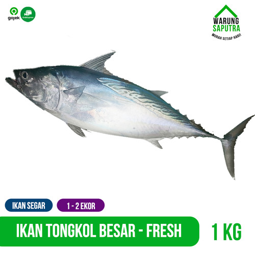 Detail Gambar Ikan Tongkol Segar Nomer 53