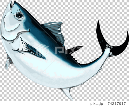 Detail Gambar Ikan Tuna Karikatur Nomer 6