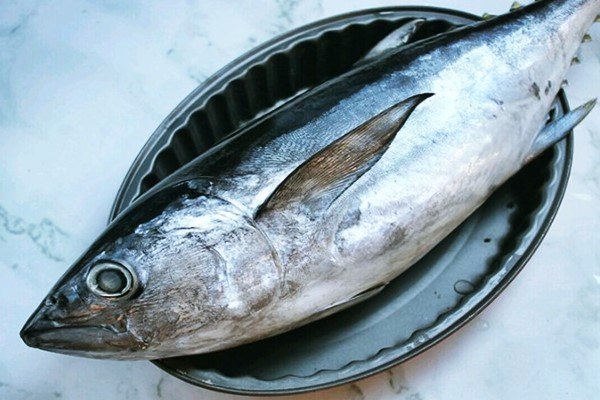 Detail Gambar Ikan Tuna Segar Nomer 18