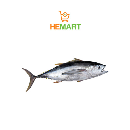 Detail Gambar Ikan Tuna Segar Nomer 35