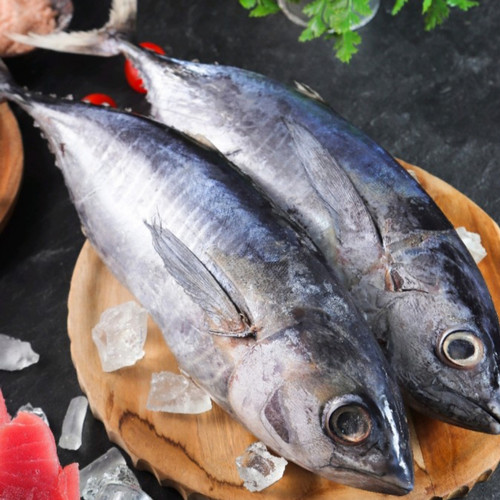 Detail Gambar Ikan Tuna Segar Nomer 7