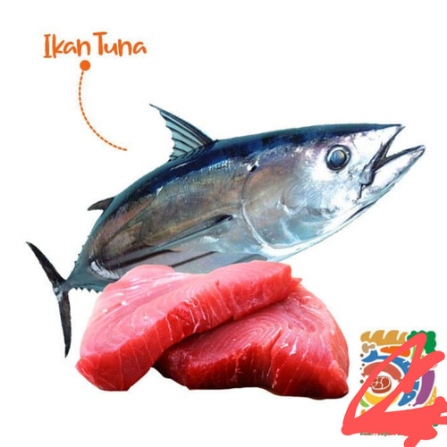 Detail Gambar Ikan Tuna Segar Nomer 8