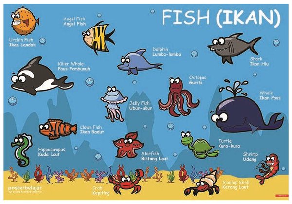 Detail Gambar Ikan Untuk Anak Paud Nomer 32