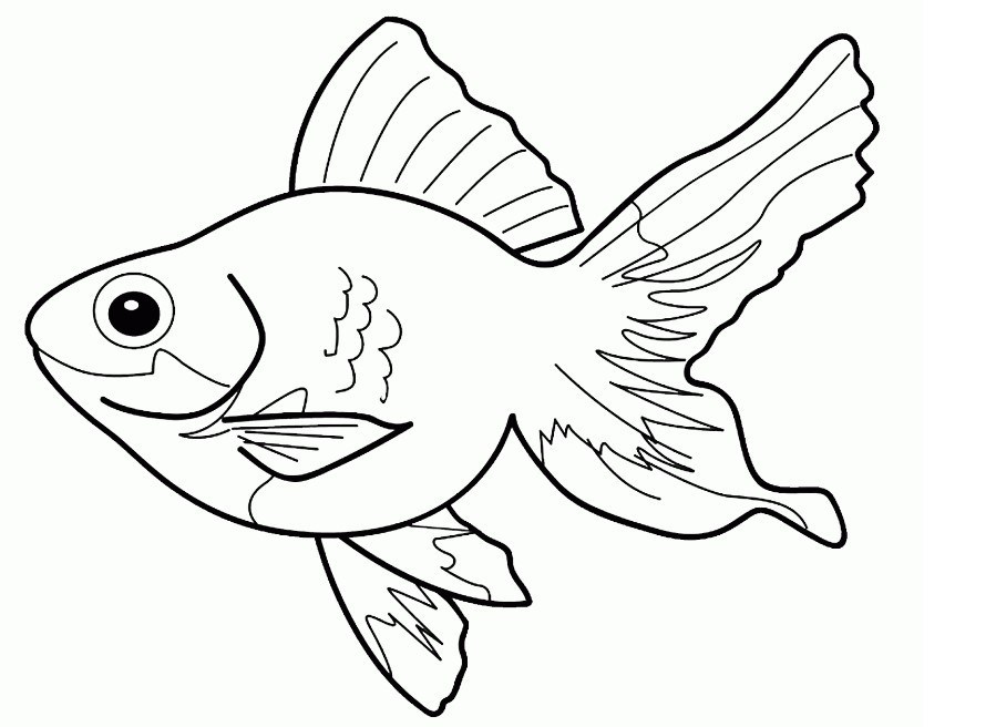 Detail Gambar Ikan Untuk Anak Tk Nomer 36