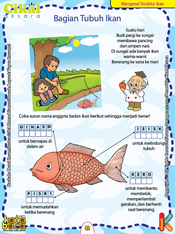 Detail Gambar Ikan Untuk Anak Tk Nomer 51