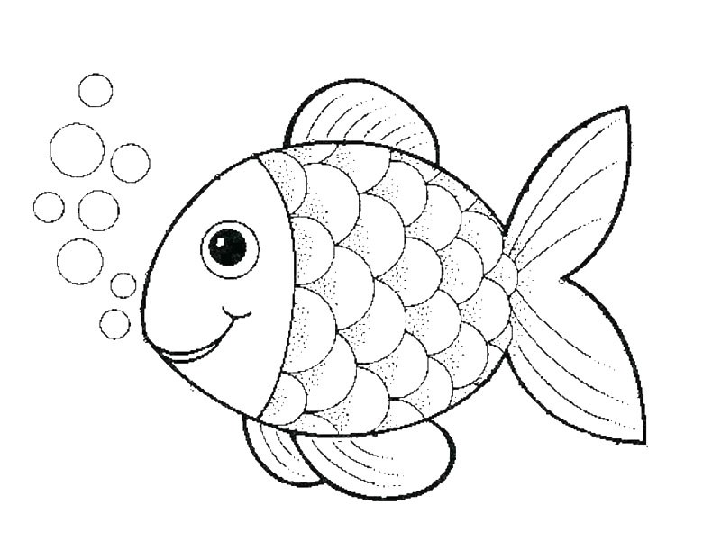 Detail Gambar Ikan Untuk Diwarnai Nomer 20