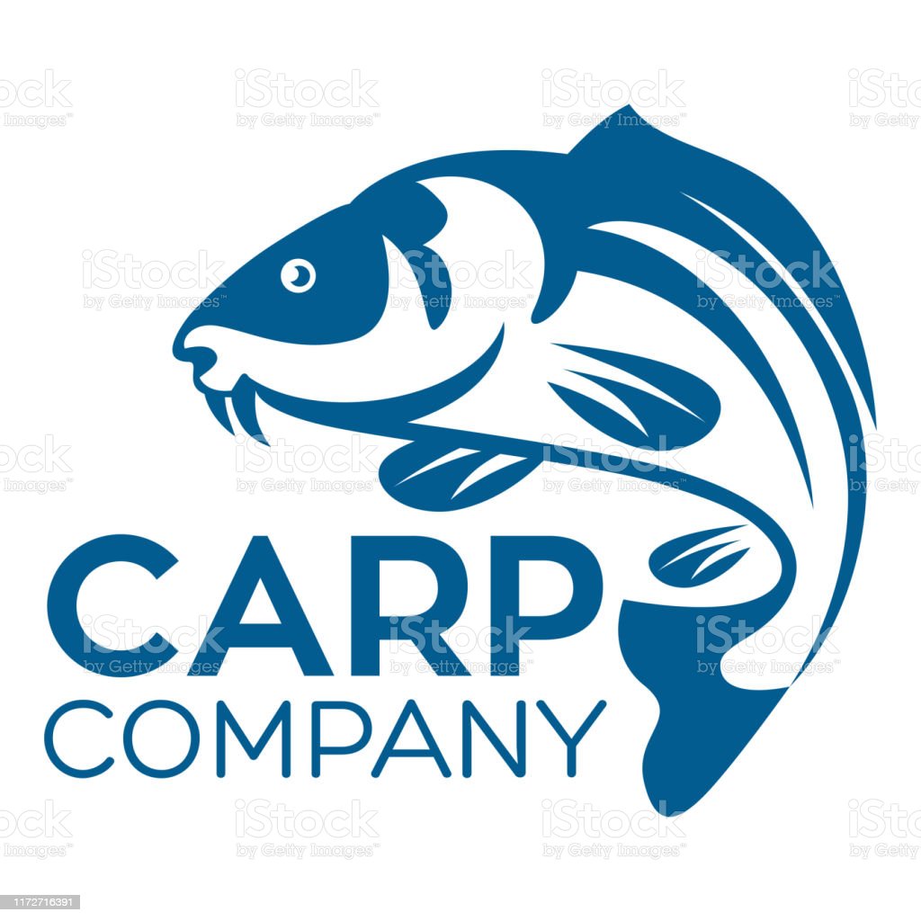 Detail Gambar Ikan Untuk Logo Nomer 49