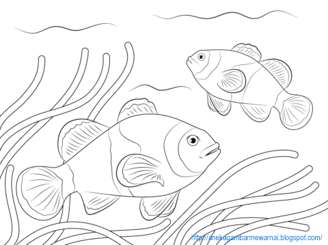 Detail Gambar Ikan Untuk Mewarnai Anak Tk Nomer 12