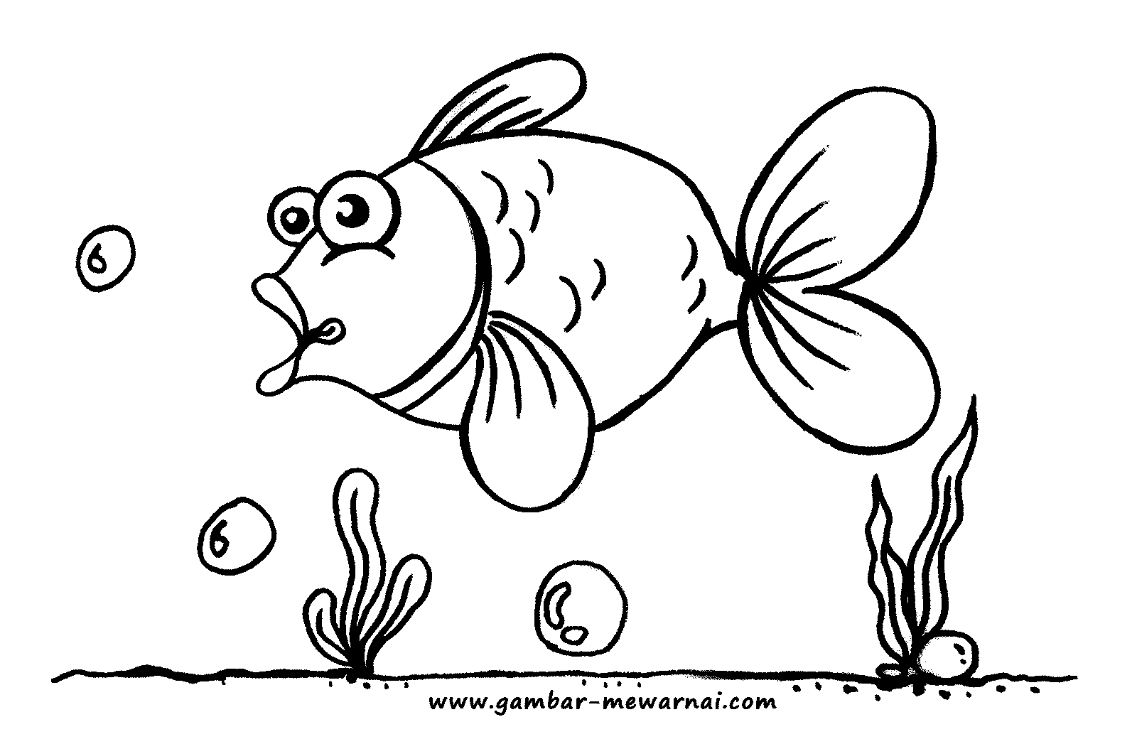 Detail Gambar Ikan Untuk Mewarnai Anak Tk Nomer 25