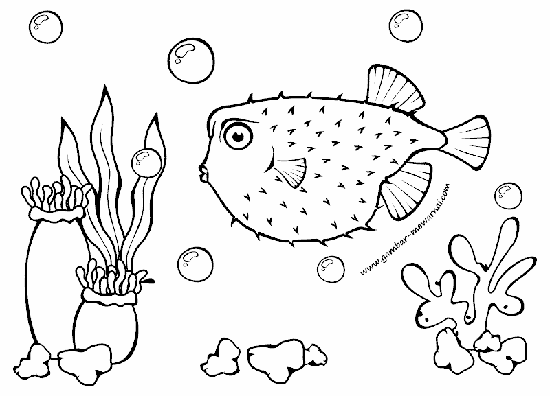 Detail Gambar Ikan Untuk Mewarnai Anak Tk Nomer 42