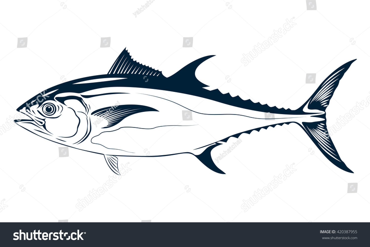 Detail Gambar Ikan Vector Nomer 11