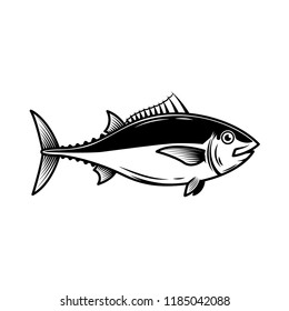 Detail Gambar Ikan Vector Nomer 15