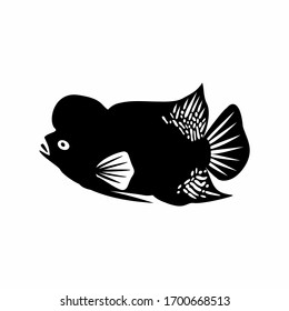 Detail Gambar Ikan Vector Nomer 39