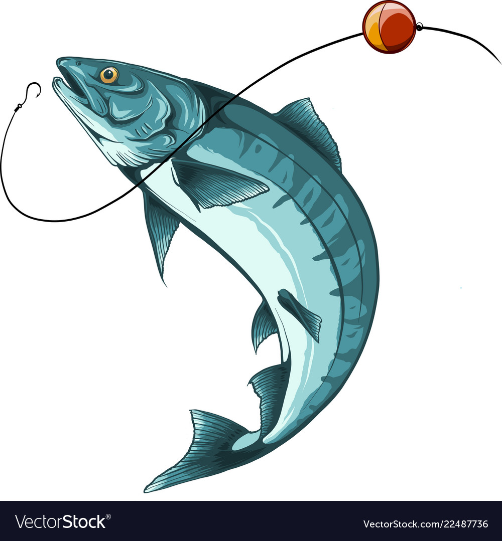 Detail Gambar Ikan Vector Nomer 7