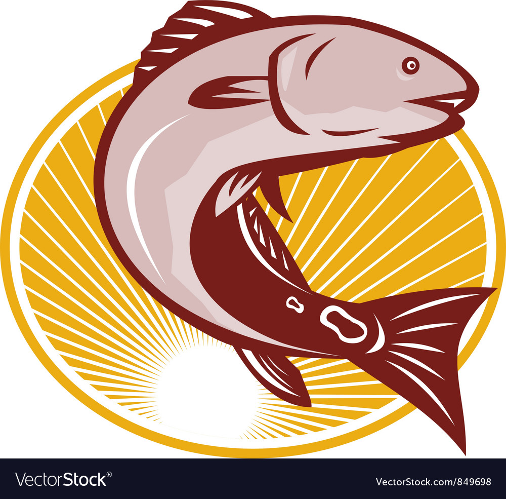 Detail Gambar Ikan Vector Nomer 9