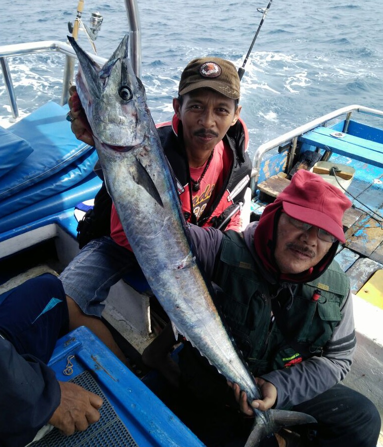 Detail Gambar Ikan Wahoo Nomer 30