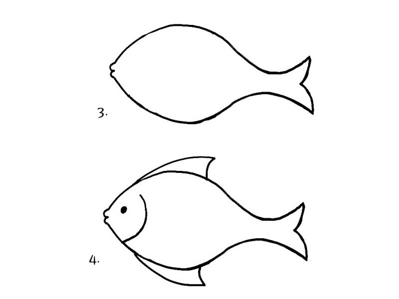 Detail Gambar Ikan Yg Mudah Nomer 23