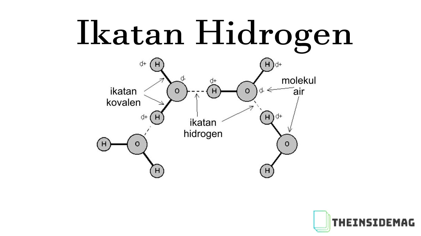 Gambar Ikatan Hidrogen - KibrisPDR