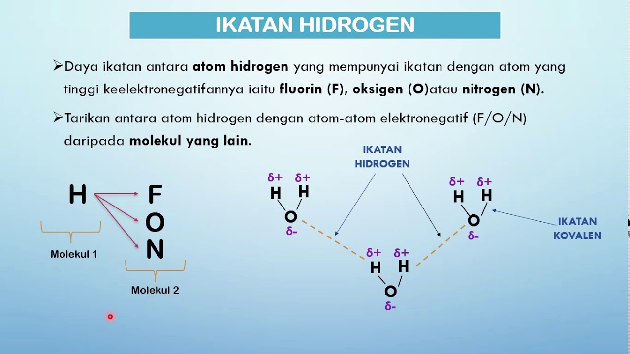 Detail Gambar Ikatan Hidrogen Nomer 3