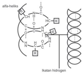 Detail Gambar Ikatan Hidrogen Nomer 19