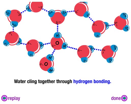 Detail Gambar Ikatan Hidrogen Nomer 20