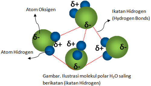 Detail Gambar Ikatan Hidrogen Nomer 31