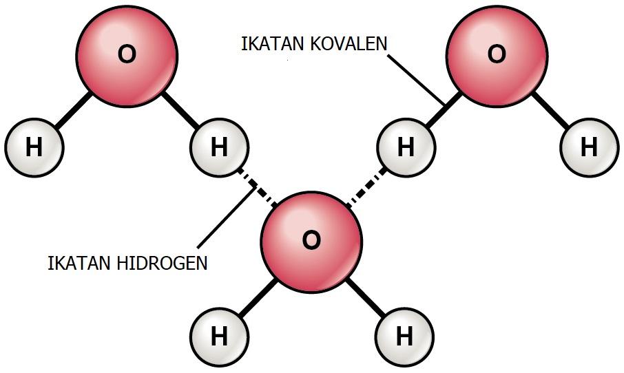 Detail Gambar Ikatan Hidrogen Nomer 5