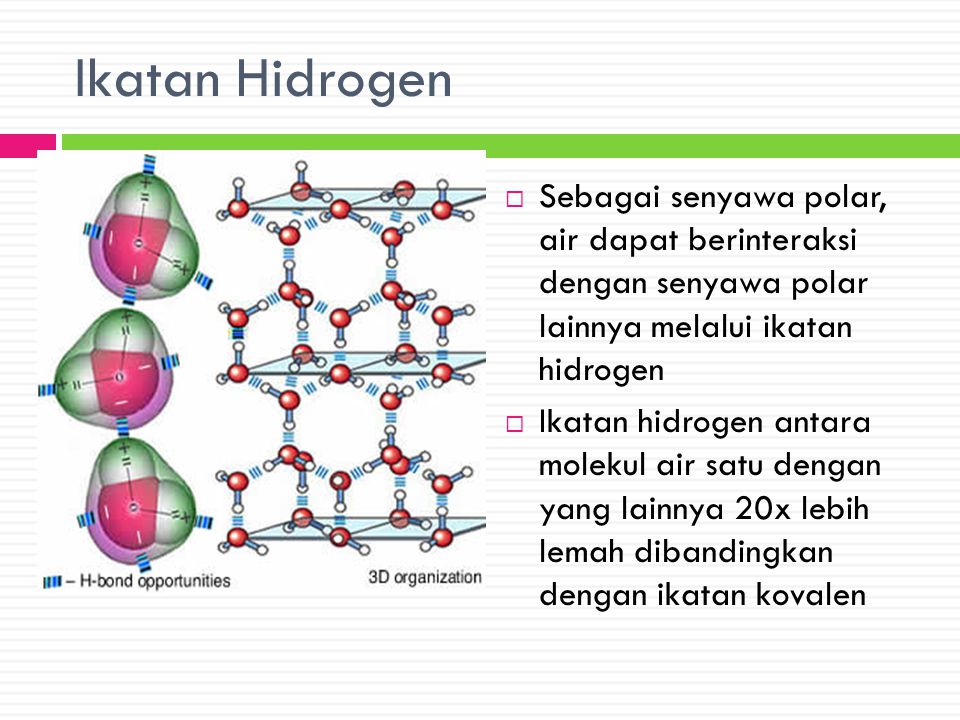Detail Gambar Ikatan Molekul Air Dalam Es Nomer 15