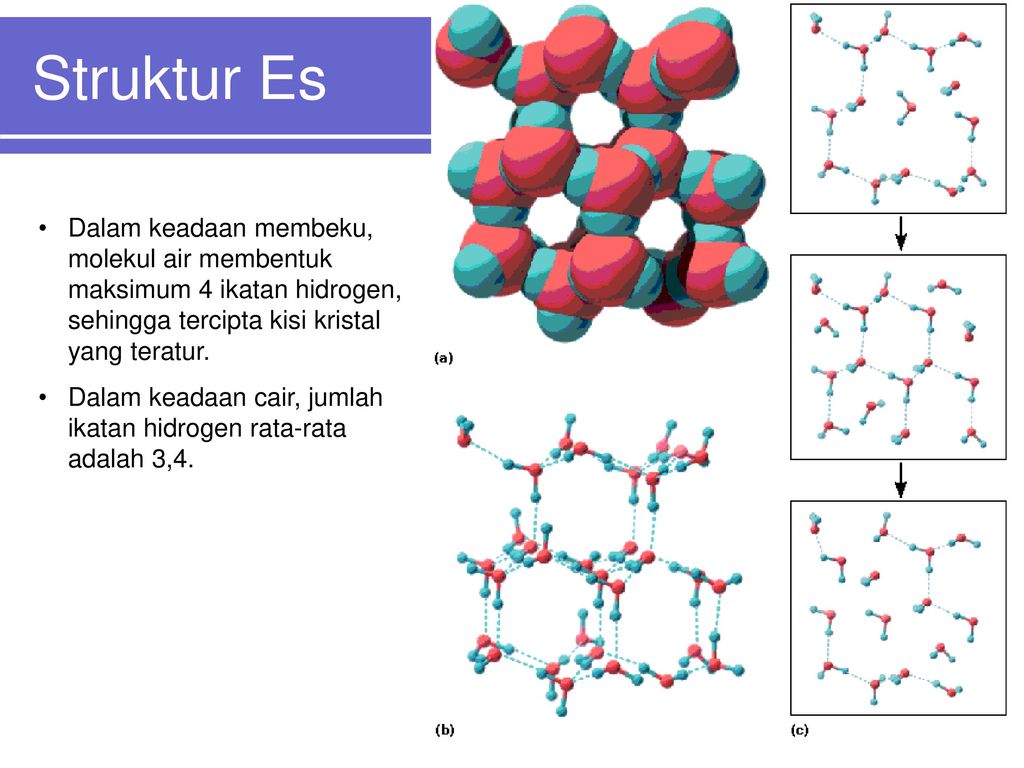 Detail Gambar Ikatan Molekul Air Dalam Es Nomer 2