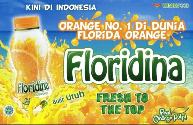 Gambar Iklan Floridina - KibrisPDR