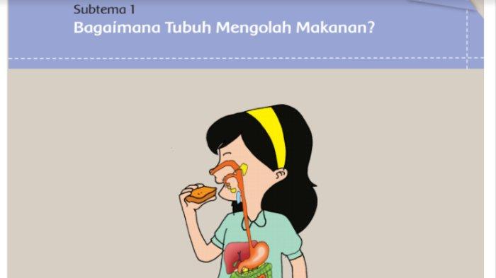 Detail Gambar Iklan Makanan Sehat Dan Bergizi Nomer 37