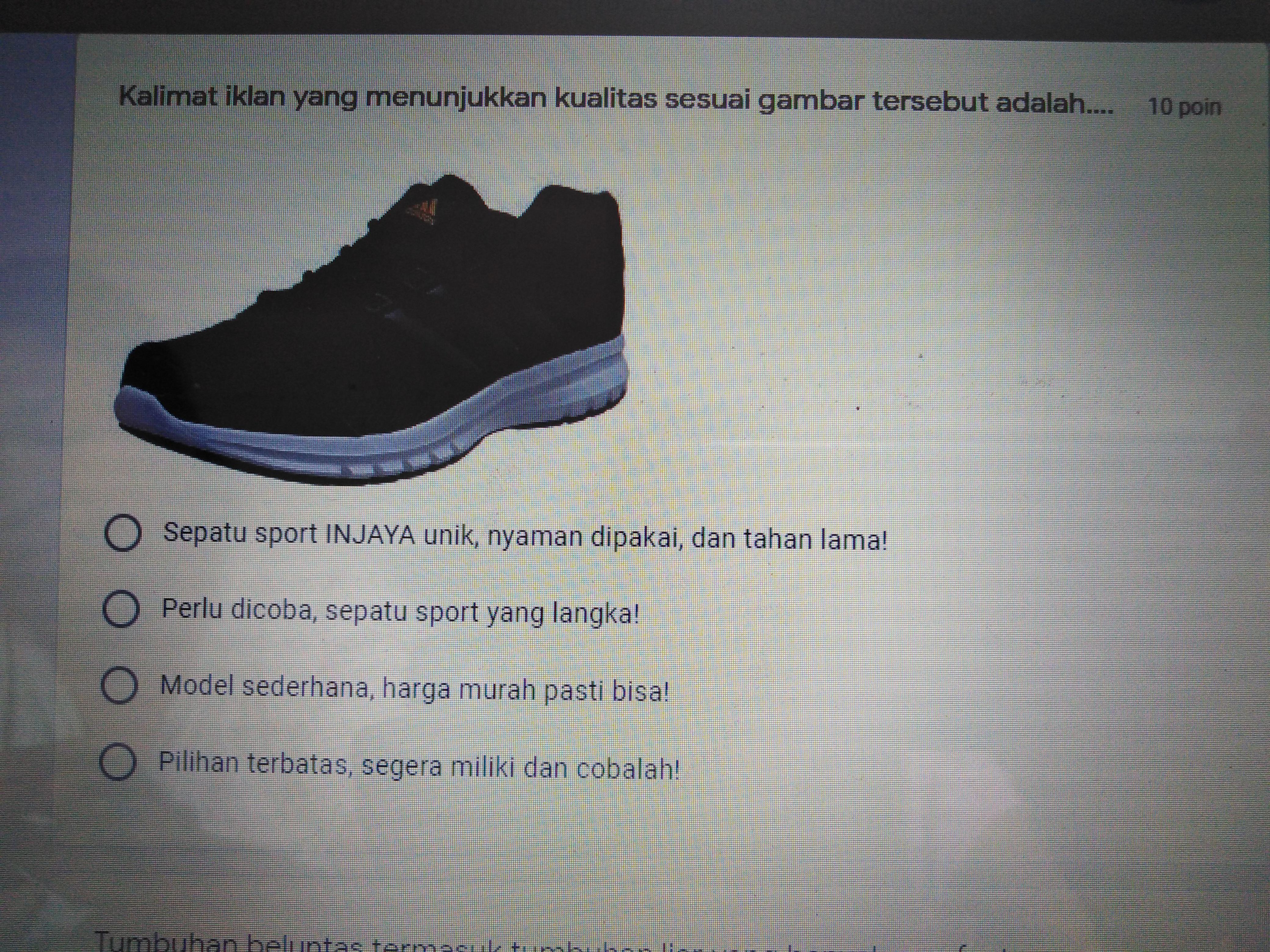 Detail Gambar Iklan Sepatu Nomer 53