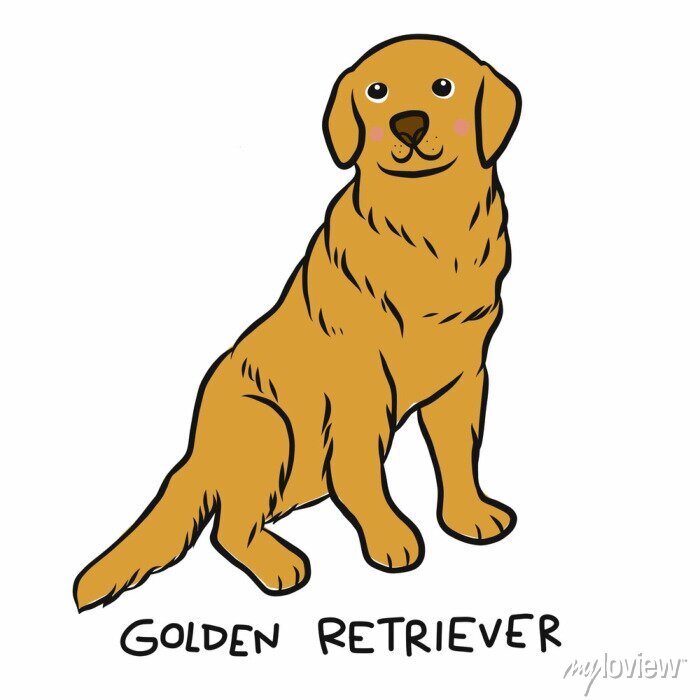 Detail Golden Retriever Kai Nomer 8