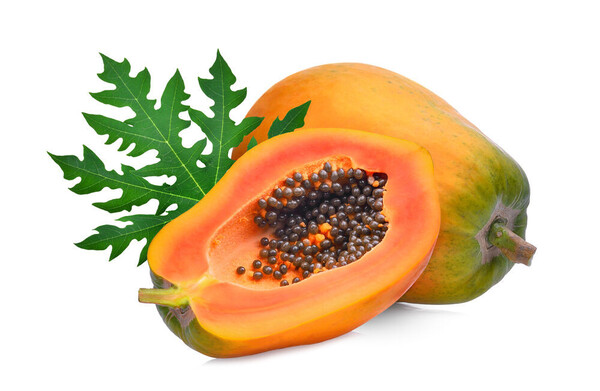 Detail Papaya Plantage Nomer 5