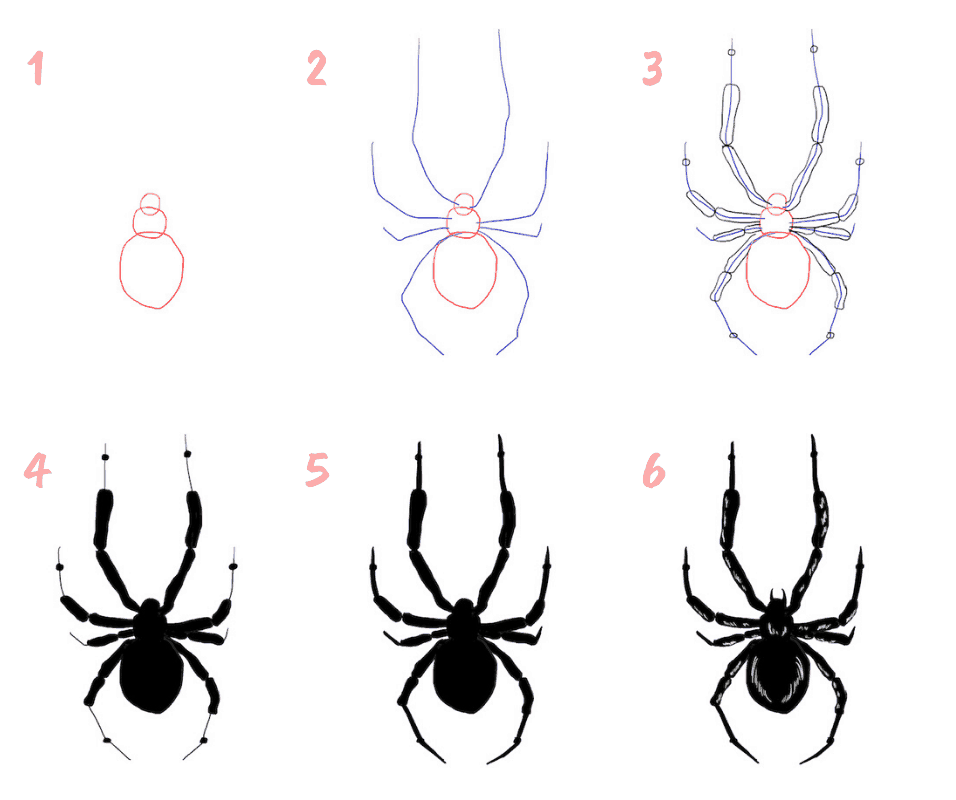 Spinne Zeichnung - KibrisPDR