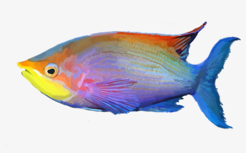Detail Tropical Fish Transparent Background Nomer 10