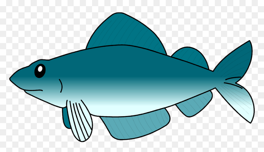 Detail Tropical Fish Transparent Background Nomer 14