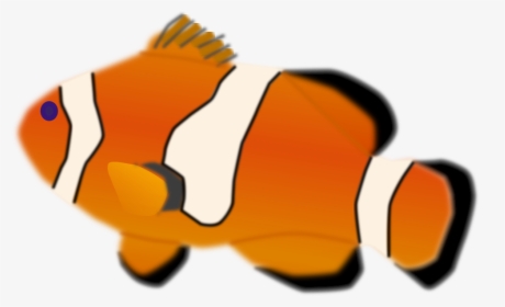 Detail Tropical Fish Transparent Background Nomer 15
