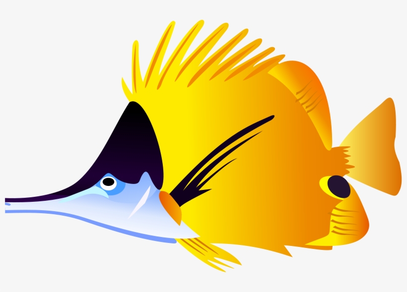 Detail Tropical Fish Transparent Background Nomer 20