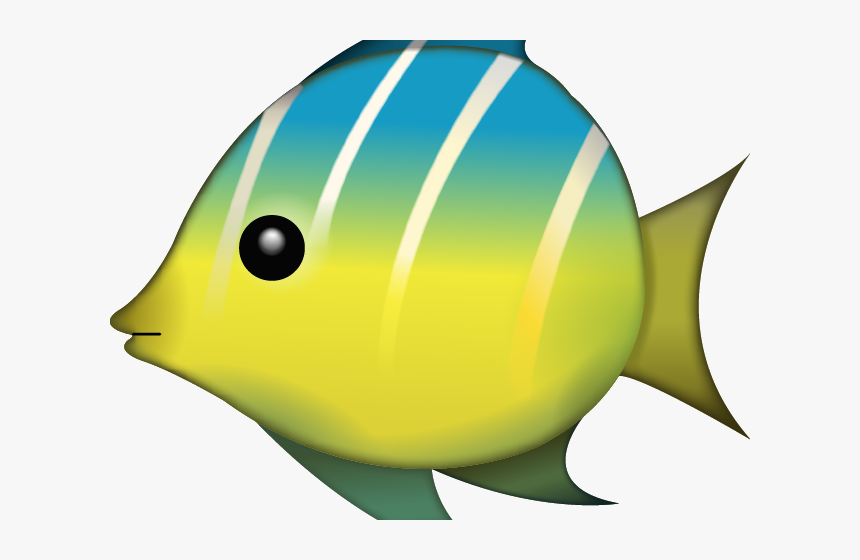 Detail Tropical Fish Transparent Background Nomer 4