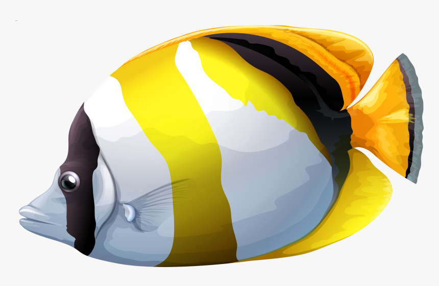 Detail Tropical Fish Transparent Background Nomer 8